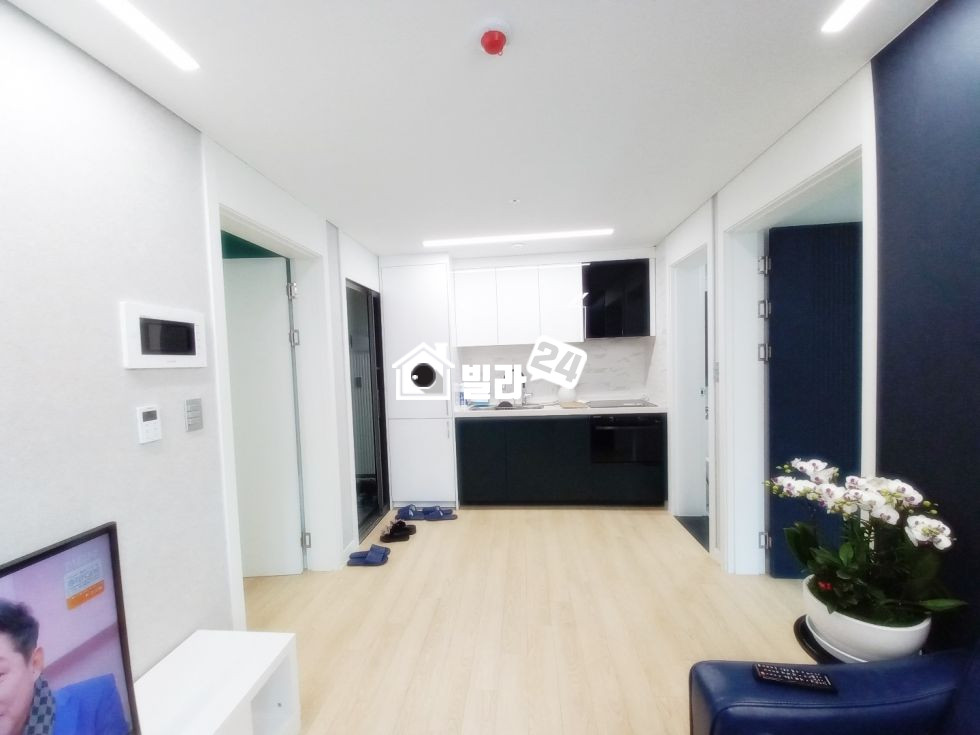 서울 강서구 염창동 ▶ 염창동 투룸 최대매물!! 풀옵션 / 젋은층 인테리어 / 방 넓음 ~~!! 분양 매물번호 34796 사진 3